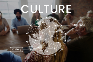 Explore Polyverus Insights | AI Translation Technology & Community Voices